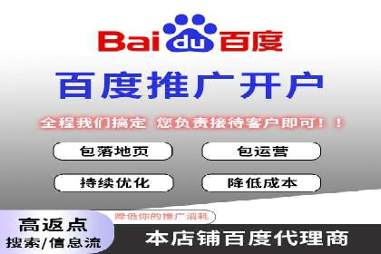 百度竞价广告投放的ROI优化：经典案例分享
